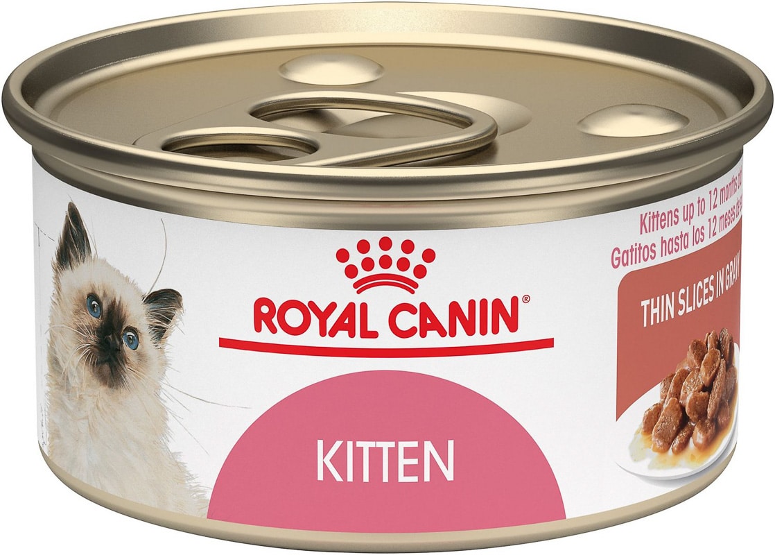 kitten wet cat food