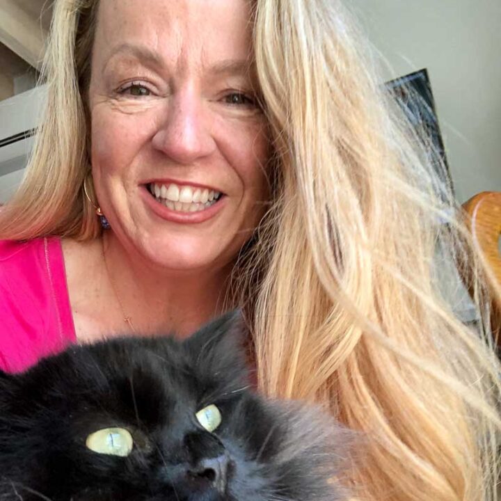 6 Best Toys for Cats your Feline Will Love I Discerning Cat