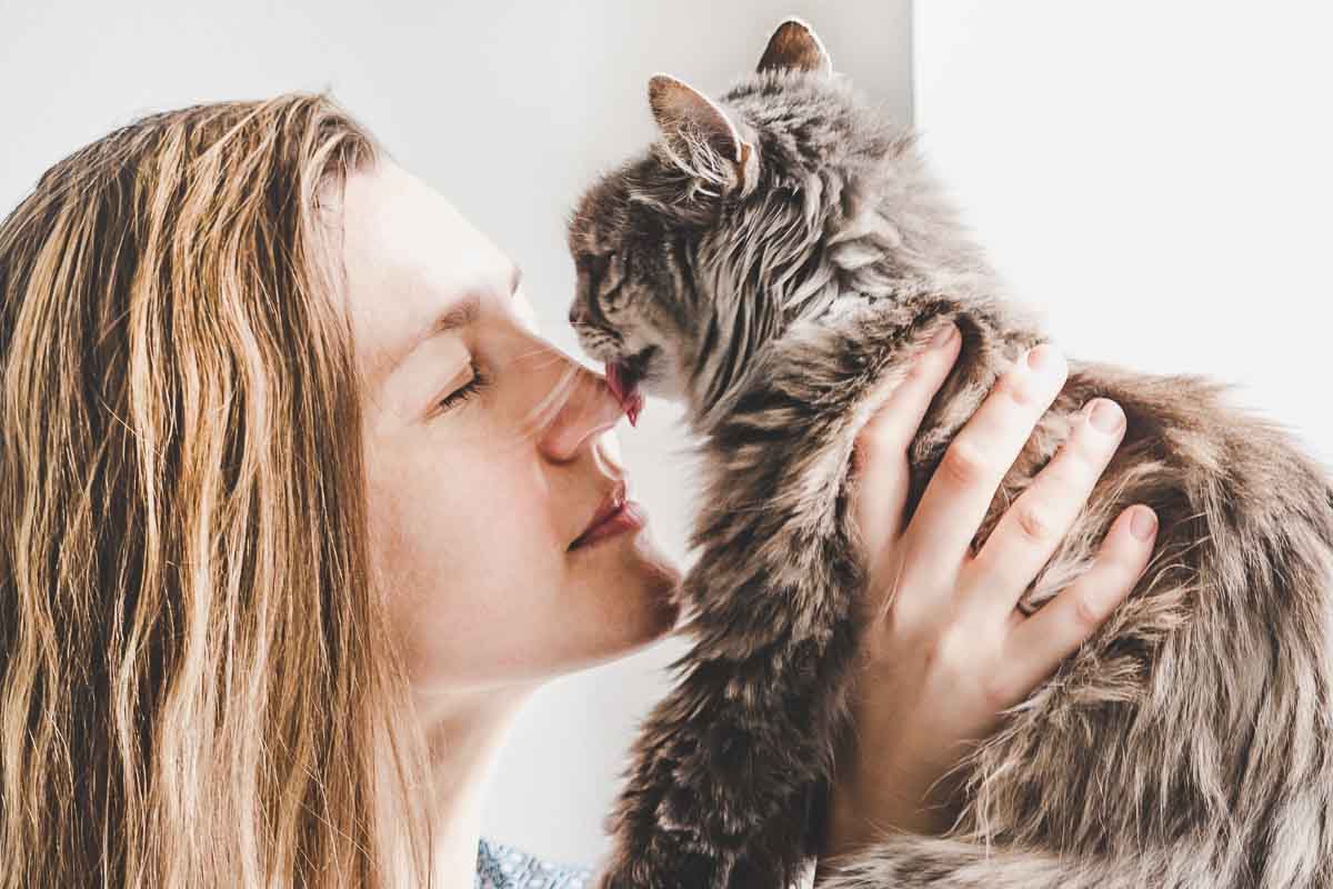Woman carrying with both hands a Tabby cat near her face.