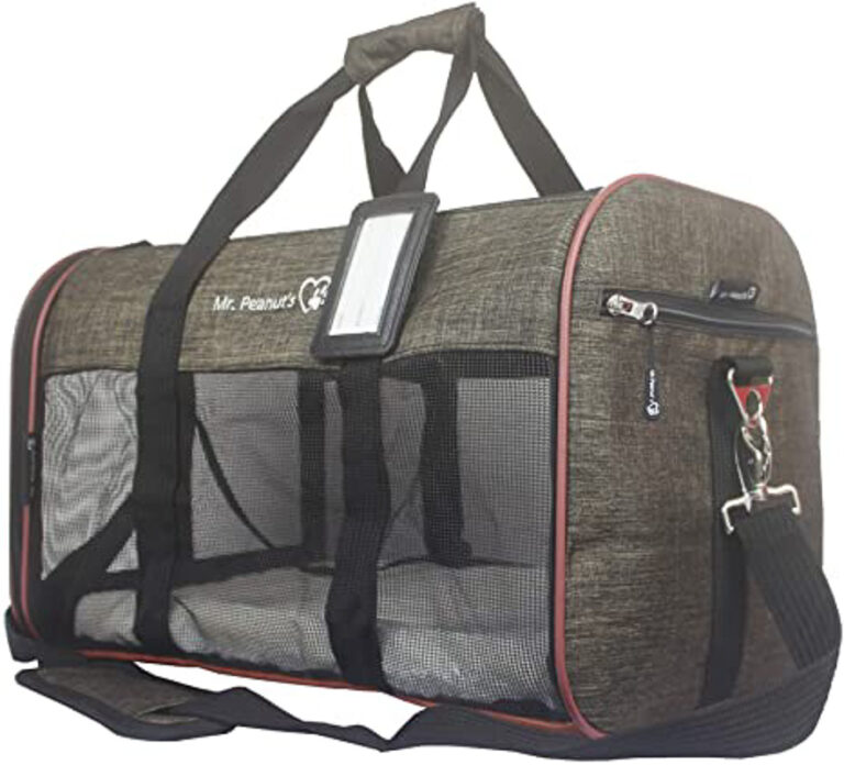 best cat carrier for road trip