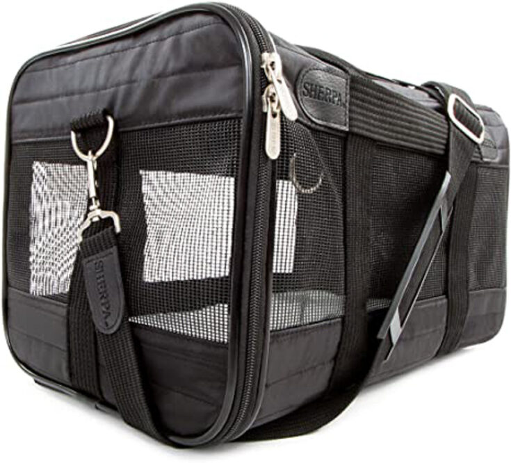 14 Best Cat Carrier for Car Travel Options You and Your Kitty will Love