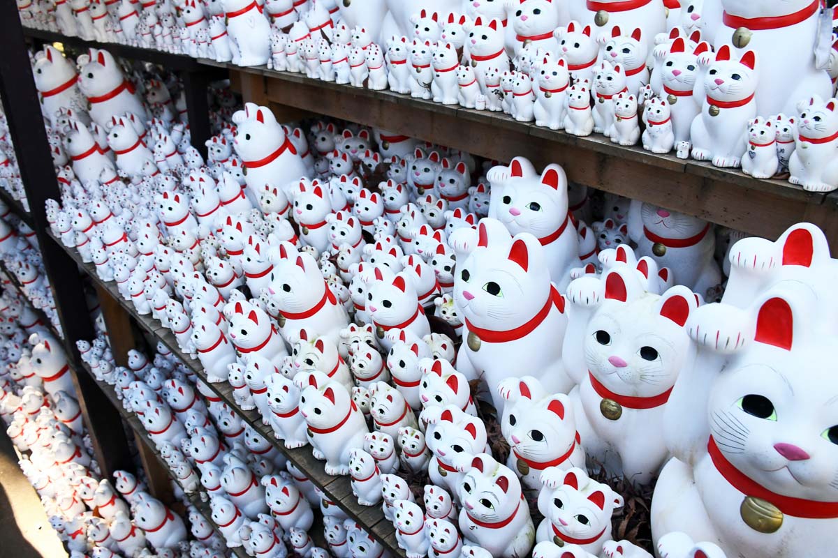 13 Japanese Cat Names Inspired by Coloring, Anime and More 8 multiple white japanese cat statues