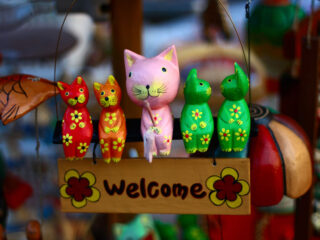 toy cats in south korea