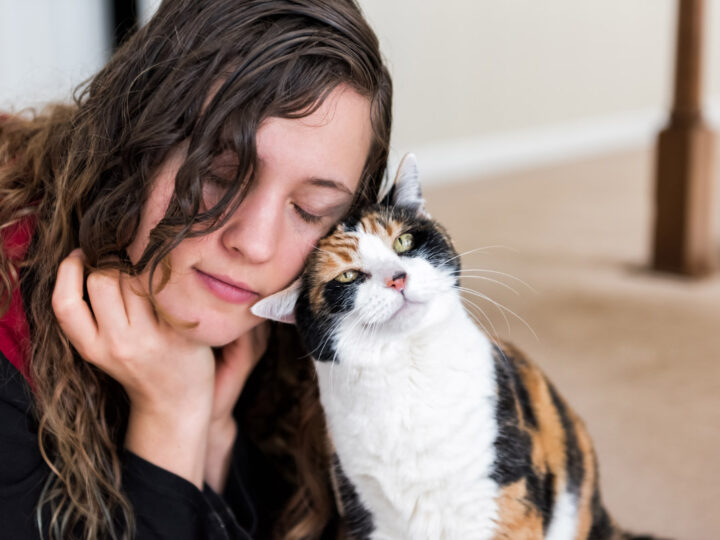 67 Best Quotes About Cat Lovers You’ll Adore