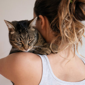 Chat endormi sur l'épaule d'une femme.