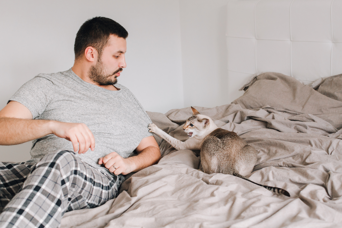 Un chat en colère griffe un homme assis sur un lit.