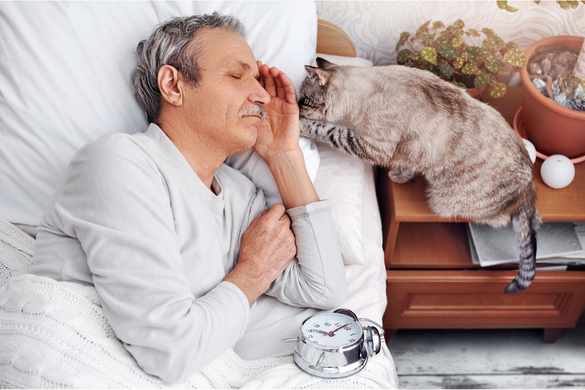 Cat reaching with its paw something near an old man sleeping on his bed.