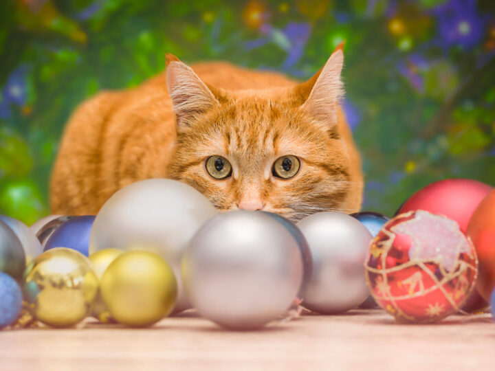 27 Best Cat Ornaments You’ll Love