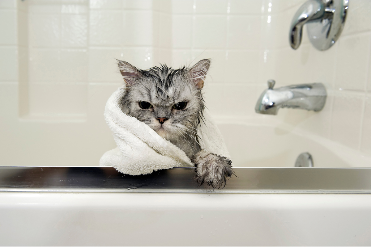 grey can with towel in bathtub