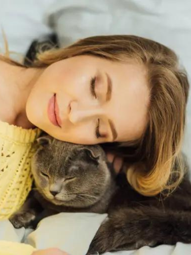 Why Do Cats Sleep on Particular Body Parts? Story The Discerning Cat