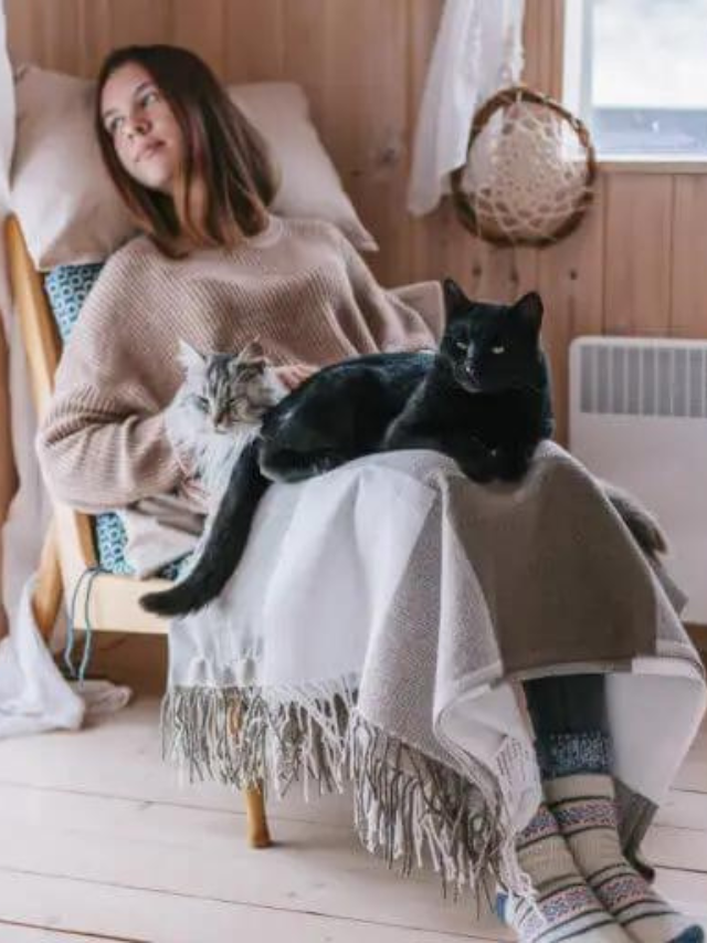 quotes-that-tell-how-awesome-cat-lovers-are-story-the-discerning-cat