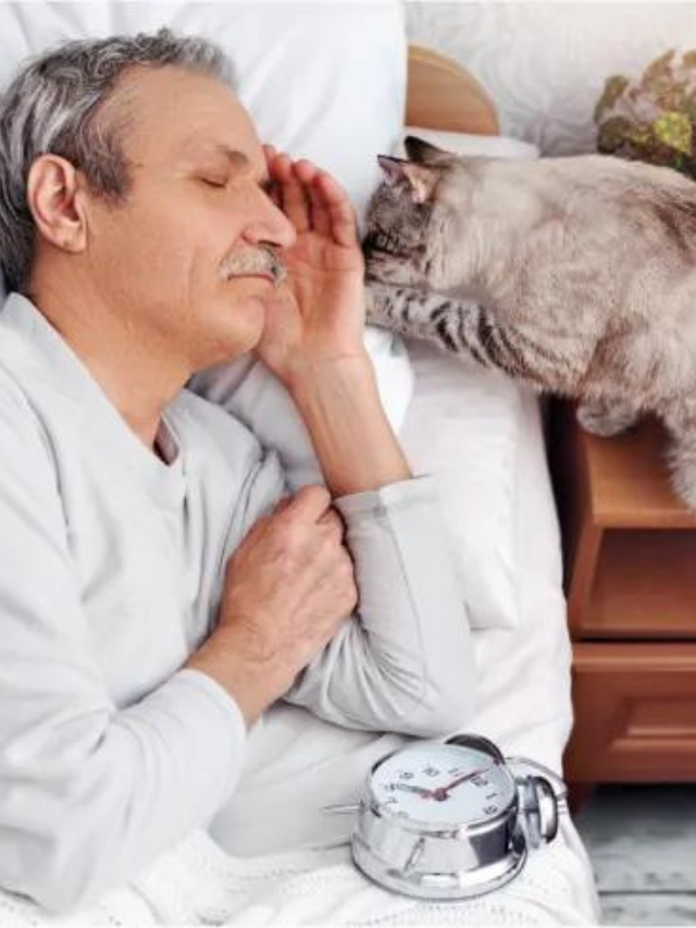 How Much Do Cats Remember? Story The Discerning Cat