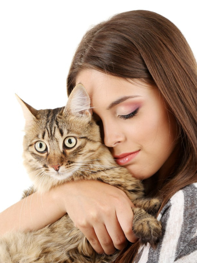 Why Do Cats Smell Good? Story The Discerning Cat