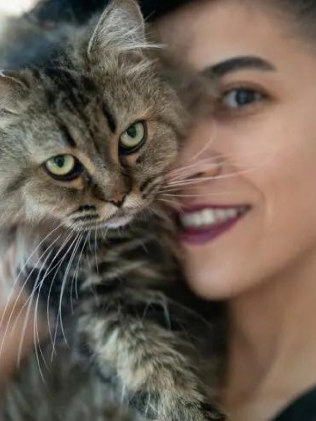 Here Are The Reasons Why Your Cat Smells So Good Story The Discerning Cat