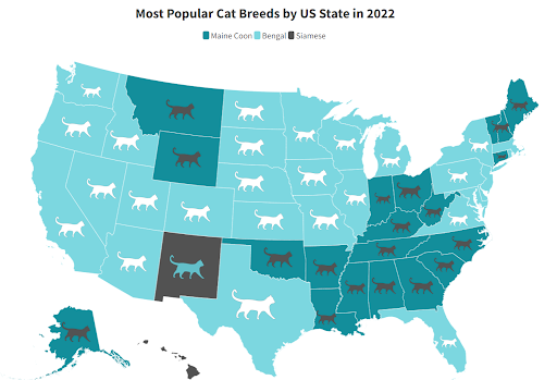 most popular cat breeds by state